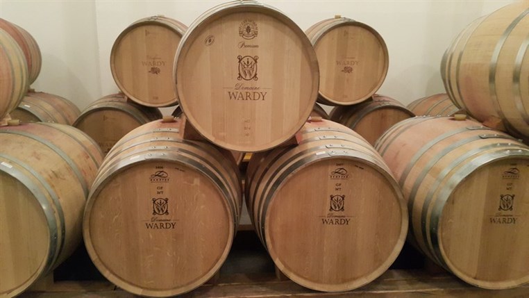 Wine Tasting at Domaine Wardy 